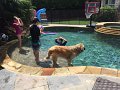 Kids_moose-MorePoolHyjinx (1)_Edit